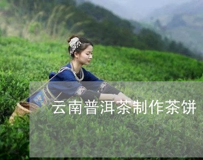 云南普洱茶制作茶饼/2023091433704