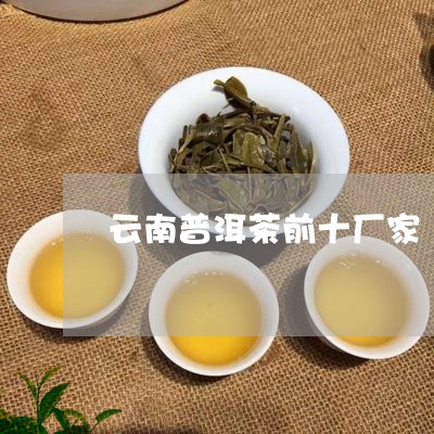 云南普洱茶前十厂家/2023082805048