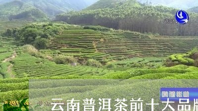 云南普洱茶前十大品牌/2023093009169