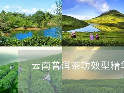 云南普洱茶功效型精华/2023080261824