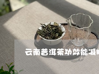 云南普洱茶功效能减肥嘛/2023050528491