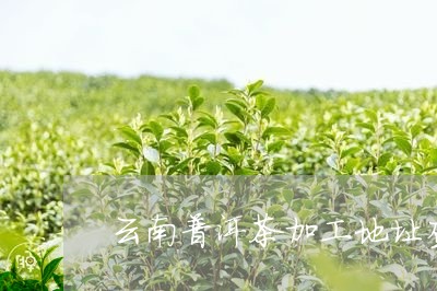 云南普洱茶加工地址查询/2023082746947