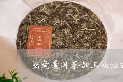 云南普洱茶加工地址电话/2023050789313