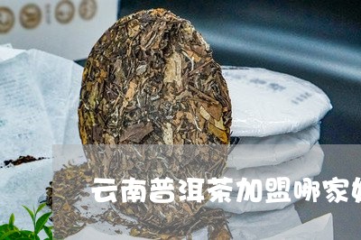 云南普洱茶加盟哪家好/2023061327271