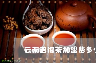 云南普洱茶加盟费多少/2023061381261