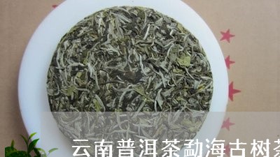 云南普洱茶勐海古树茶/2023120673037