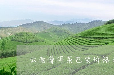 云南普洱茶包装价格表图/2023050400594