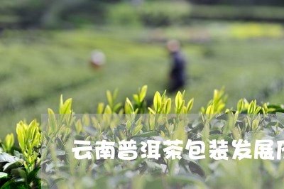 云南普洱茶包装发展历史/2023102494716