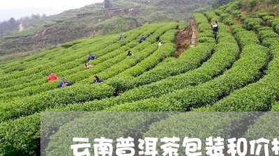 云南普洱茶包装和价格/2023080160716