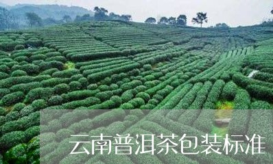 云南普洱茶包装标准/2023070873948