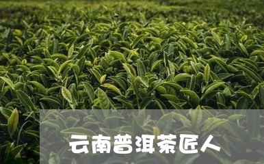 云南普洱茶匠人/2023102606068