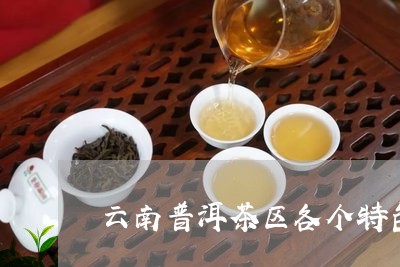 云南普洱茶区各个特色产品/2023082593929