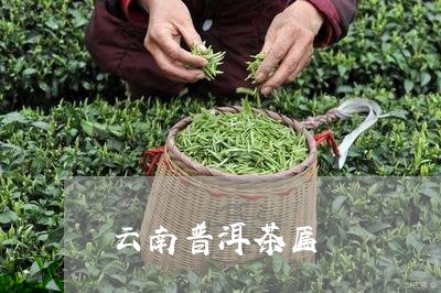 云南普洱茶匾/2023091382819