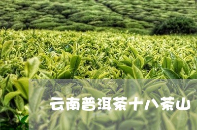 云南普洱茶十八茶山/2023091493716