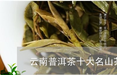 云南普洱茶十大名山茶/2023061537160