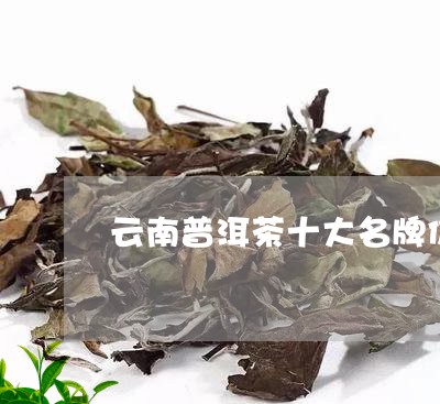 云南普洱茶十大名牌价格外包装/2023052991593