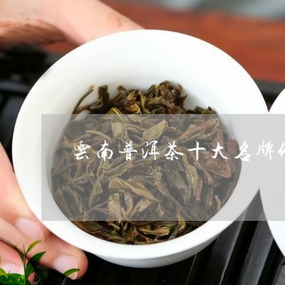 云南普洱茶十大名牌价格是多少钱/2023060264045