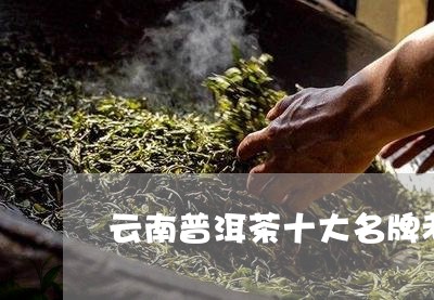 云南普洱茶十大名牌老茶人有哪些/2023060262604