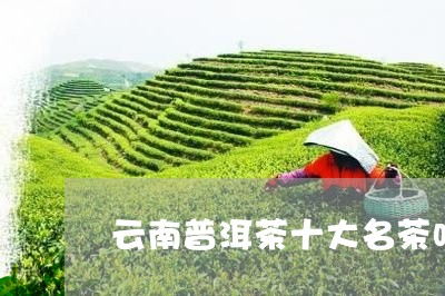 云南普洱茶十大名茶吗/2023072185502