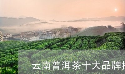 云南普洱茶十大品牌排行榜最新/2023082836936