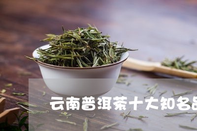 云南普洱茶十大知名品牌排行/2023052800507