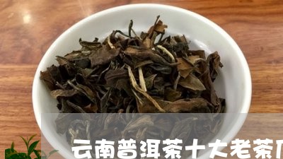 云南普洱茶十大老茶厂/2023082815037