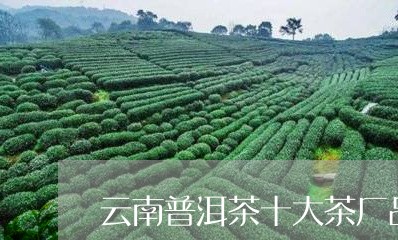 云南普洱茶十大茶厂品牌排名/2023052812516