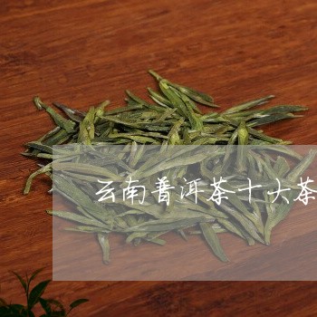 云南普洱茶十大茶厂排名致富经/2023052938503