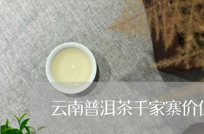 云南普洱茶千家寨价位/2023093002629