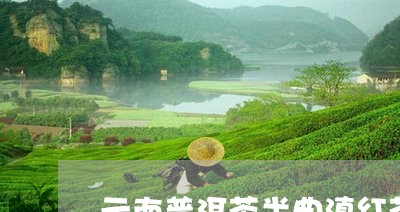 云南普洱茶半曲滇红茶/2023062381604