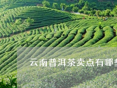 云南普洱茶卖点有哪些呢/2023102497050