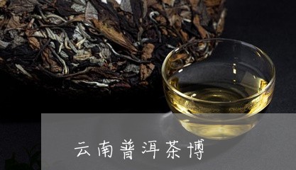 云南普洱茶博/2023042617029