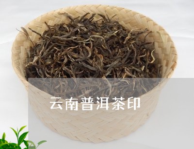 云南普洱茶印/2023042741456