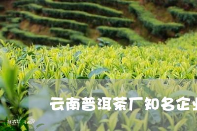 云南普洱茶厂知名企业/2023092538602