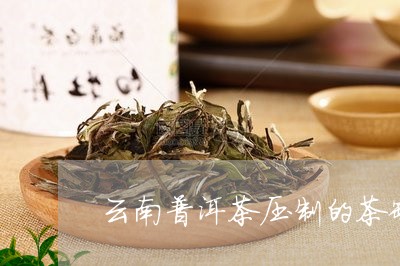 云南普洱茶压制的茶罐/2023100795825