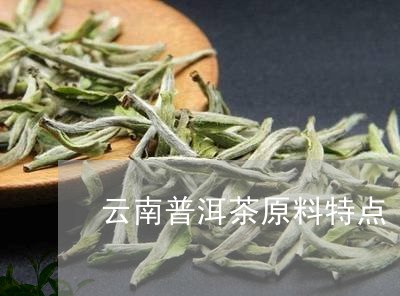 云南普洱茶原料特点/2023082885178