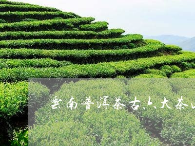 云南普洱茶古六大茶山/2023062969715