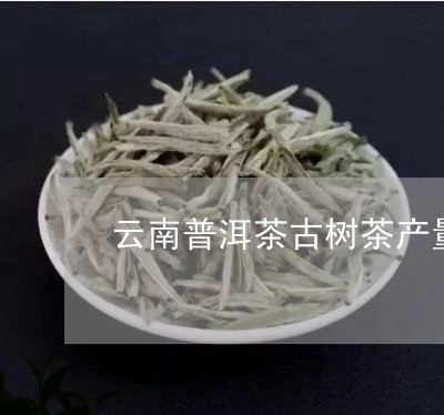 云南普洱茶古树茶产量高吗/2023082811635