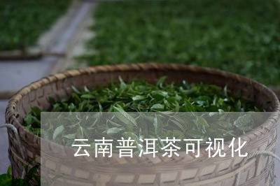 云南普洱茶可视化/2023120418583