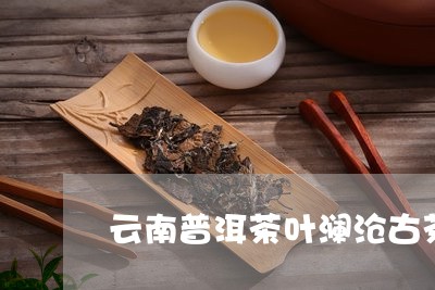 云南普洱茶叶澜沧古茶/2023100836169