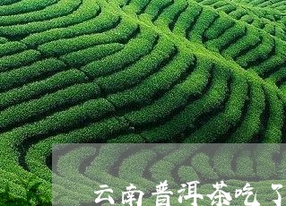 云南普洱茶吃了上火吗/2023073102503