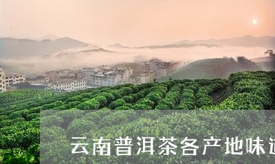 云南普洱茶各产地味道/2023080391837