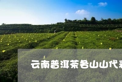 云南普洱茶各山山代表茶/2023112871626