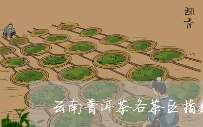 云南普洱茶各茶区指数/2023080395938