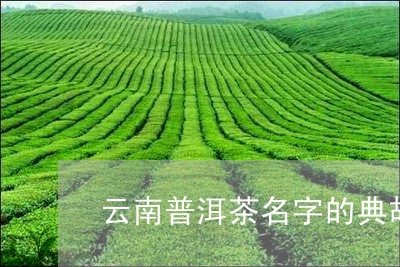 云南普洱茶名字的典故/2023120607069