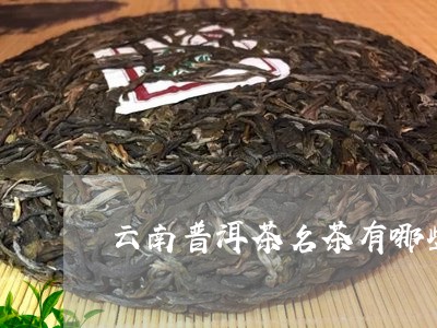 云南普洱茶名茶有哪些/2023100608271