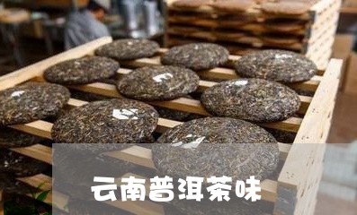 云南普洱茶味/2023091262714