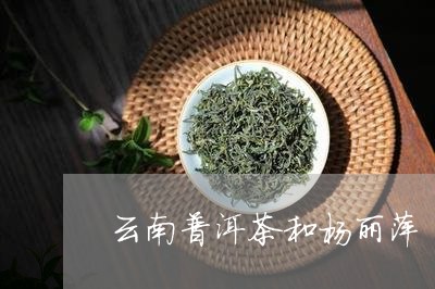 云南普洱茶和杨丽萍/2023091586138