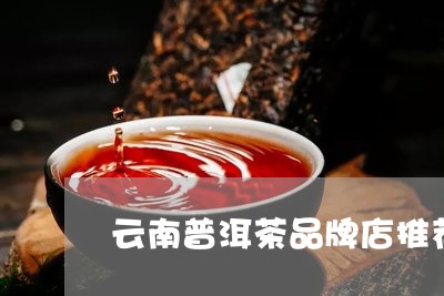 云南普洱茶品牌店推荐/2023100769715