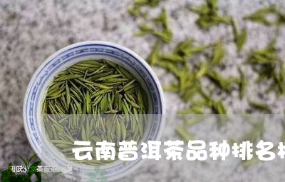 云南普洱茶品种排名榜/2023072421592